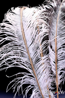 Strauss mit feinem goldenen Strahl – 38-42 cm – creme grau natur